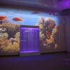 Проекционный дизайн "Виртуальная реальность" базовый комплект 500 анимаций - «globural.ru» - Новоуральск