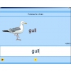 Английский язык. Освоение клавиатуры - «globural.ru» - Новоуральск