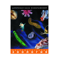 Зоология. Микрофотографии. (Цифровая база изображений) - «globural.ru» - Новоуральск