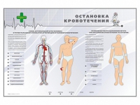 Электрифицированный стенд "Остановка кровотечения" - «globural.ru» - Новоуральск