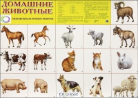 Демонстрационные карточки "Домашние животные" - «globural.ru» - Новоуральск