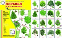 Демонстрационные карточки "Деревья и кустарники" - «globural.ru» - Новоуральск