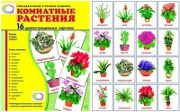 Демонстрационные карточки "Комнатные растения" - «globural.ru» - Новоуральск
