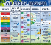Стенд "We study english" - «globural.ru» - Новоуральск