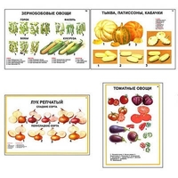 Плакаты ПРОФТЕХ "Ассортимент овощных культур" (12 пл, винил, 70х100) - «globural.ru» - Новоуральск