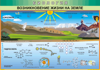 Таблица Возникновение жизни на Земле 1000*1400 винил - «globural.ru» - Новоуральск