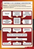 ОБЖ Здоровый образ жизни (комплект таблиц) - «globural.ru» - Новоуральск