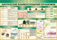 Таблица Биотические взаимоотношения организмов 1000*700 (винил) - «globural.ru» - Новоуральск