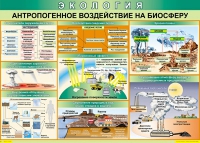 Таблица Антропогенное воздействие на биосферу 1000*700 винил - «globural.ru» - Новоуральск