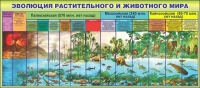 Стенд "Эволюция растительного и животного мира" - «globural.ru» - Новоуральск