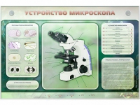 Электрифицированный стенд "Устройство микроскопа и правила работы c ним" - «globural.ru» - Новоуральск