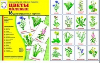 Демонстрационные карточки "Цветы полевые" - «globural.ru» - Новоуральск