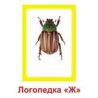 Логопедка "Ж" (логопедические карточки) - «globural.ru» - Новоуральск