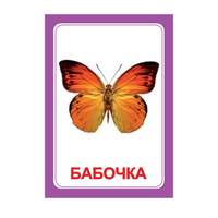 Логопедка "Ч" (логопедические карточки) - «globural.ru» - Новоуральск
