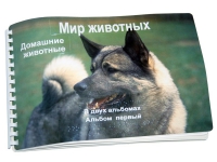 Пособие для слабовидящих "Домашние животные" - «globural.ru» - Новоуральск