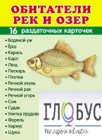 Раздаточные карточки "Обитатели рек и озер" - «globural.ru» - Новоуральск