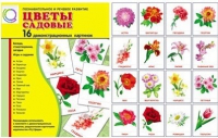 Демонстрационные карточки "Цветы садовые" - «globural.ru» - Новоуральск