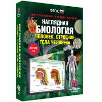 Наглядная биология. Человек. Строение тела человека - «globural.ru» - Новоуральск