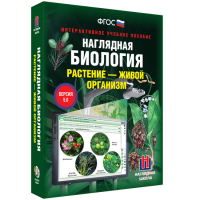 Наглядная биология. Растение - живой организм - «globural.ru» - Новоуральск