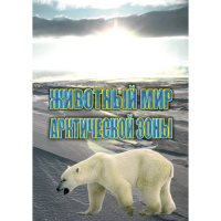 DVD Животный мир Арктической зоны - «globural.ru» - Новоуральск
