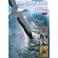 DVD Природные зоны России - «globural.ru» - Новоуральск
