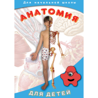 DVD  Анатомия для детей - «globural.ru» - Новоуральск