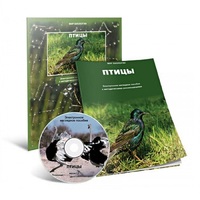 Электронное наглядное пособие «Птицы» - «globural.ru» - Новоуральск