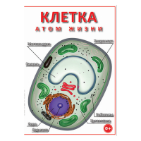 DVD Клетка - "атом жизни" - «globural.ru» - Новоуральск