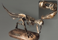 Модель скелета динозавра Tyrannosaurus - «globural.ru» - Новоуральск
