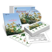 Комбинированное наглядное пособие «Растения» - «globural.ru» - Новоуральск