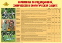 Плакат "Нормативы по радиационной, химической и биологической защите" - «globural.ru» - Новоуральск