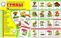 Демонстрационные карточки  "Грибы съедобные и не съедобные" - «globural.ru» - Новоуральск