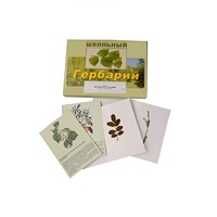 Гербарий "Деревья и кустарники" (22 вида, с иллюстрациями) - «globural.ru» - Новоуральск