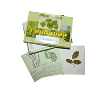 Гербарий "Дикорастущие растения" (30 видов, с иллюстрациями) - «globural.ru» - Новоуральск
