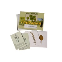 Гербарий "Лекарственные растения" (22 вида, с иллюстрациями) - «globural.ru» - Новоуральск
