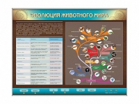 Интерактивный электрифицированный стенд "Эволюция животного мира" - «globural.ru» - Новоуральск
