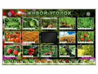 Комплект оборудования "Живой уголок" (растения) - «globural.ru» - Новоуральск