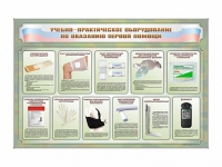 Стенды "Учебно-практическое оборудование по оказанию первой помощи" - «globural.ru» - Новоуральск