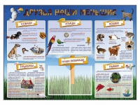 Стенд-уголок "Друзья наши меньшие" - «globural.ru» - Новоуральск
