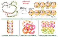 Плакаты и таблицы по общей химии - «globural.ru» - Новоуральск