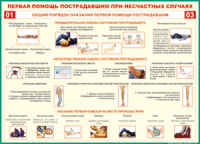  Таблица Общий порядок оказания первой помощи пострадавшим 1000*1400 винил	 - «globural.ru» - Новоуральск