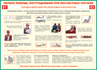 Таблица Порядок действий при переломах конечностей 1000*1400 винил - «globural.ru» - Новоуральск
