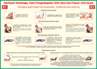 Таблица Порядок действий при ранениях и термических ожогах	 1000*1400 винил - «globural.ru» - Новоуральск