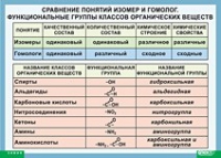 Химия. Сравнение понятий изомер и гомолог. Функциональные группы классов органических веществ (винил) - «globural.ru» - Новоуральск