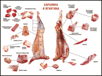 Правила разделки мясных туш "Баранина и ягнятина" 1000*1400 винил - «globural.ru» - Новоуральск