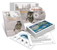 Комбинированное наглядное пособие «Животные» - «globural.ru» - Новоуральск
