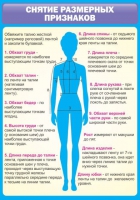 Стенд "Снятие мерок" (вариант 2) - «globural.ru» - Новоуральск
