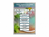 Стенд "Схема приготовления мясных котлет" - «globural.ru» - Новоуральск