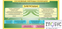 Стенд "Методы селекции и биотехнологии" - «globural.ru» - Новоуральск