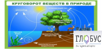 Стенд "Круговорот веществ" - «globural.ru» - Новоуральск